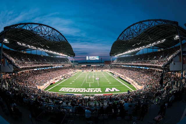 星效应吸引 星效应吸引