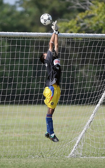 融自然与都 融自然与都